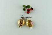 _0006_24e Dreamy Garden earrings 0240515E
